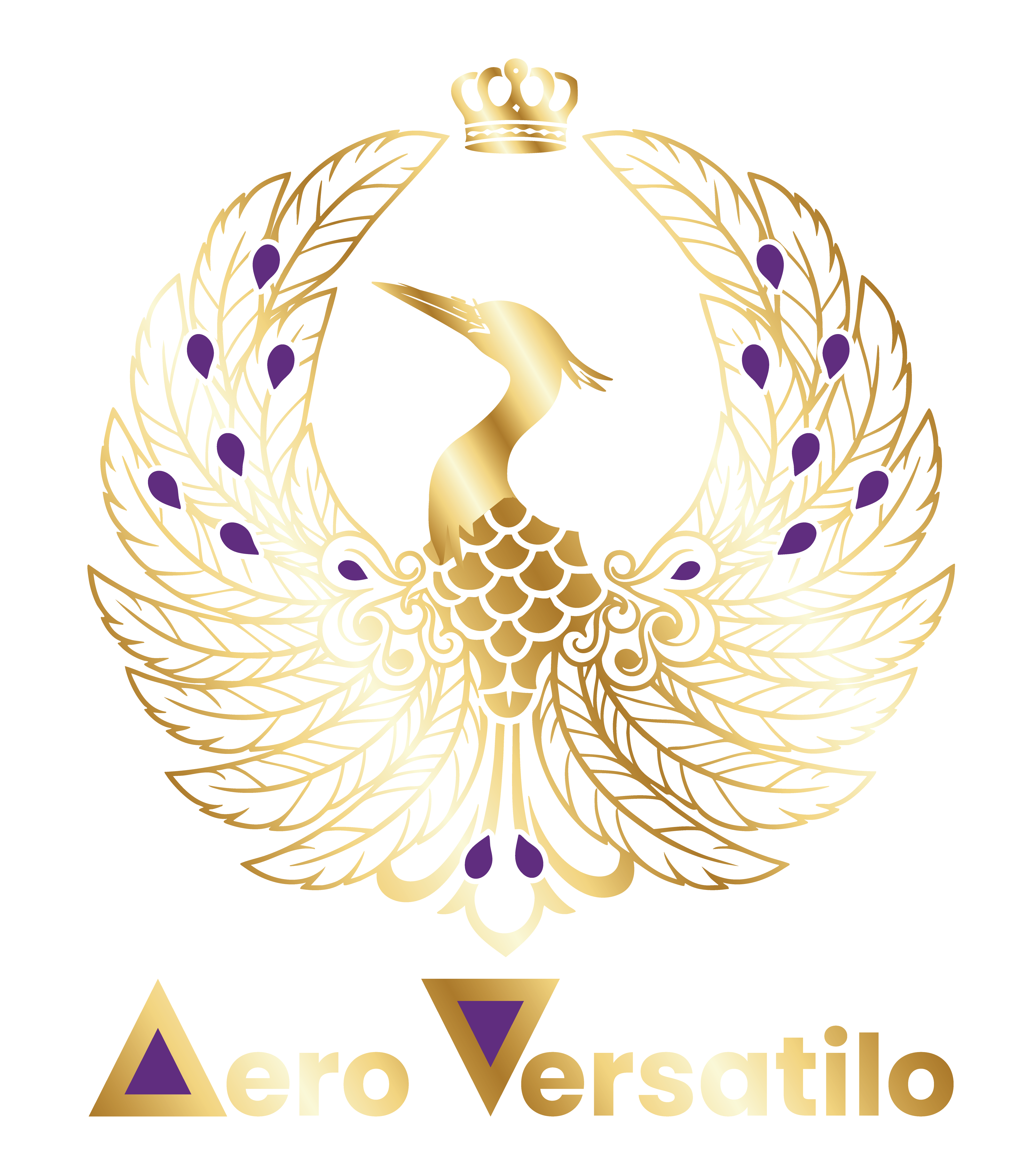 Aero Versatilo Golden Logo